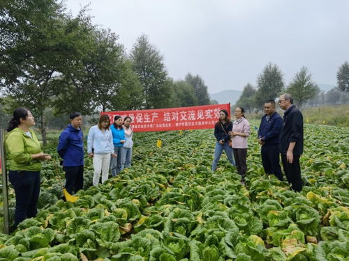 以試驗促進高效生產，以科技助力生態農業——省農業技術推廣總站的實踐與探索