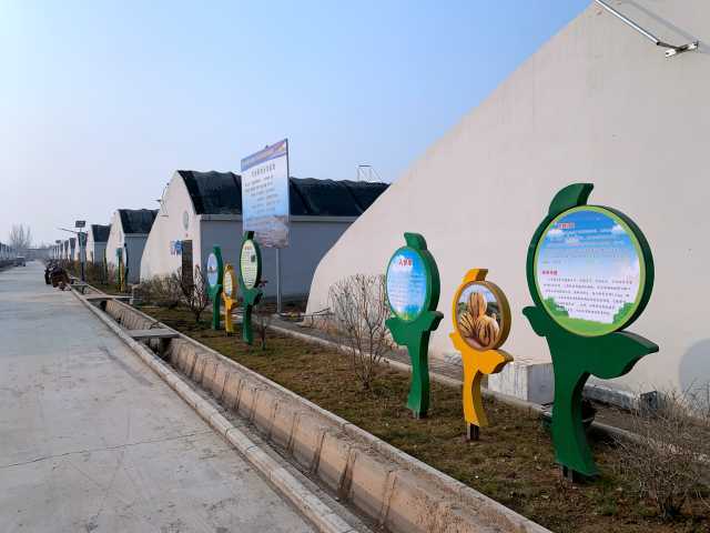 每日一景 山水溝村的美麗蝶變——產(chǎn)業(yè)助力發(fā)展，農(nóng)業(yè)技術(shù)推廣共建美麗鄉(xiāng)村